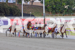 RACE 5 - Jingling Jewels