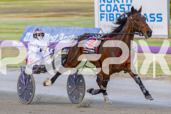 2025_PACEPIX_GP25112025_Race5_JinglingJewels_WIN_WEB-10