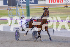 2025_PACEPIX_GP25112025_Race5_JinglingJewels_WIN_WEB-13