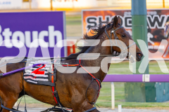 2025_PACEPIX_GP25112025_Race5_JinglingJewels_WIN_WEB-14