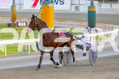 2025_PACEPIX_GP25112025_Race5_JinglingJewels_WIN_WEB-15