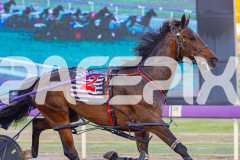 2025_PACEPIX_GP25112025_Race5_JinglingJewels_WIN_WEB-5
