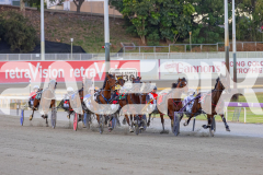 2025_PACEPIX_GP25112025_Race5_JinglingJewels_WIN_WEB-6