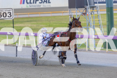 2025_PACEPIX_GP25112025_Race5_JinglingJewels_WIN_WEB-7