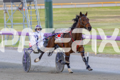 2025_PACEPIX_GP25112025_Race5_JinglingJewels_WIN_WEB-8