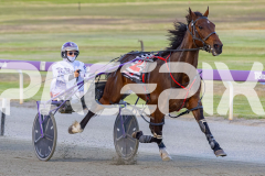 2025_PACEPIX_GP25112025_Race5_JinglingJewels_WIN_WEB-9