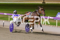 Ideal-Whitby_24-03-2026_WIN_Gloucester-Park_9__02