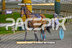 2026_PACEPIX_GP24072026_RACE5_AltaTribute_WIN_WEB-11