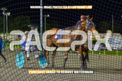 2026_PACEPIX_GP24072026_RACE5_AltaTribute_WIN_WEB-16