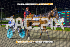 2026_PACEPIX_GP24072026_RACE5_AltaTribute_WIN_WEB-17