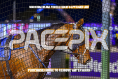 2026_PACEPIX_GP24072026_RACE5_AltaTribute_WIN_WEB-18