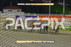 2026_PACEPIX_GP24072026_RACE5_AltaTribute_WIN_WEB-2