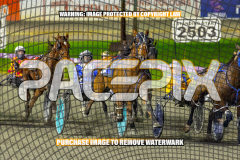 2026_PACEPIX_GP24072026_RACE5_AltaTribute_WIN_WEB-4