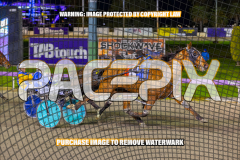 2026_PACEPIX_GP24072026_RACE5_AltaTribute_WIN_WEB-7