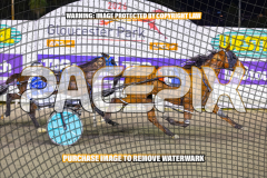 2026_PACEPIX_GP24072026_RACE5_AltaTribute_WIN_WEB-9