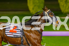 2026_PACEPIX_GP19062026_Race5_Fakenit_WIN_WEB-11