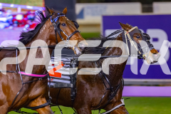 2026_PACEPIX_GP19062026_Race5_Fakenit_WIN_WEB-15
