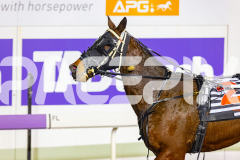 2026_PACEPIX_GP19062026_Race5_Fakenit_WIN_WEB-29