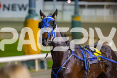 2026_PACEPIX_GP19062026_Race5_Fakenit_WIN_WEB-6