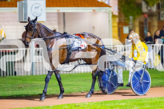 2026_PACEPIX_GP18042026_RACE7_MaxDelight_WIN_WEB-1
