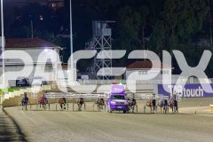 2026_PACEPIX_GP18042026_RACE7_MaxDelight_WIN_WEB-16