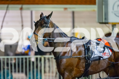 2026_PACEPIX_GP18042026_RACE7_MaxDelight_WIN_WEB-2