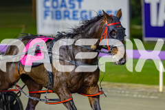 2026_PACEPIX_GP05062026_RACE5_Luvbite_WIN_WEB-18