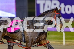 2026_PACEPIX_GP05062026_RACE5_Luvbite_WIN_WEB-19