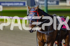 2026_PACEPIX_GP05062026_RACE5_Luvbite_WIN_WEB-22