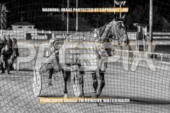 2026_PACEPIX_GP30102026_RACE5_ImStealthy_LaraBW_WEB-1