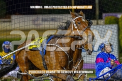 2026_PACEPIX_GP30102026_RACE5_ImStealthy_WIN_WEB-11