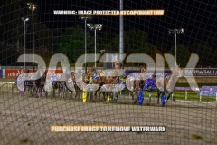2026_PACEPIX_GP30102026_RACE5_ImStealthy_WIN_WEB-23
