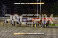 2026_PACEPIX_GP30102026_RACE5_ImStealthy_WIN_WEB-30