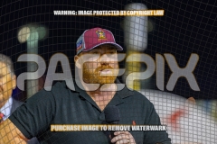 2026_PACEPIX_GP30102026_RACE5_ImStealthy_WIN_WEB-67