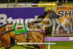 2026_PACEPIX_GP02102026_Race5_SkinnyDippin_WIN_WEB-13