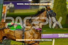 2026_PACEPIX_GP02102026_Race5_SkinnyDippin_WIN_WEB-14