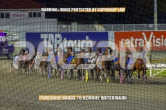 2026_PACEPIX_GP02102026_Race5_SkinnyDippin_WIN_WEB-15