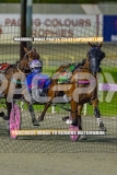 2026_PACEPIX_GP02102026_Race5_SkinnyDippin_WIN_WEB-16