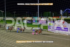 2026_PACEPIX_GP02102026_Race5_SkinnyDippin_WIN_WEB-17