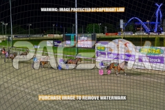 2026_PACEPIX_GP02102026_Race5_SkinnyDippin_WIN_WEB-18