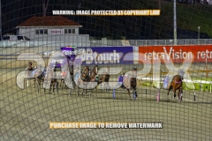 2026_PACEPIX_GP02102026_Race5_SkinnyDippin_WIN_WEB-19