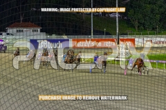 2026_PACEPIX_GP02102026_Race5_SkinnyDippin_WIN_WEB-20