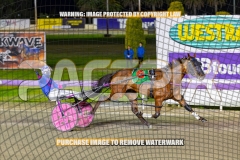2026_PACEPIX_GP02102026_Race5_SkinnyDippin_WIN_WEB-25
