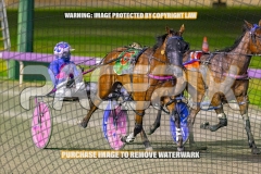 2026_PACEPIX_GP02102026_Race5_SkinnyDippin_WIN_WEB-28