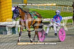 2026_PACEPIX_GP02102026_Race5_SkinnyDippin_WIN_WEB-30