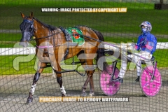 2026_PACEPIX_GP02102026_Race5_SkinnyDippin_WIN_WEB-31