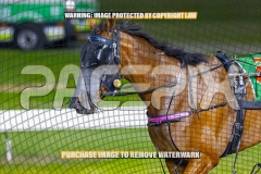 2026_PACEPIX_GP02102026_Race5_SkinnyDippin_WIN_WEB-32