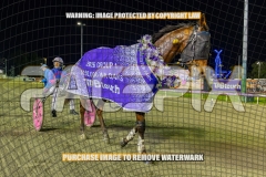 2026_PACEPIX_GP02102026_Race5_SkinnyDippin_WIN_WEB-38