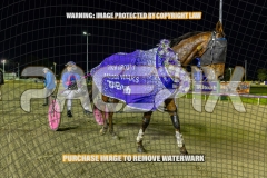 2026_PACEPIX_GP02102026_Race5_SkinnyDippin_WIN_WEB-39
