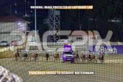 2026_PACEPIX_GP02102026_Race5_SkinnyDippin_WIN_WEB-6